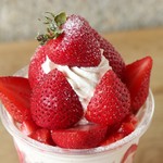 リビングオーガニックス