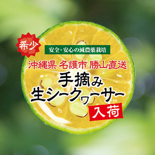 和食バル 音音_2