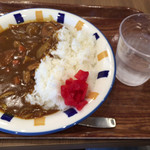 Kitchen Namiiro - なみいろ特製カレー
                        (税込500円)