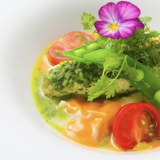 カシュ カシュ_0