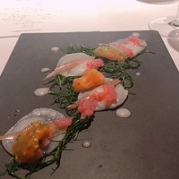 レフェルヴェソンス - 