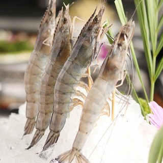 四川火鍋専門店 蜀小龍