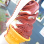 街の洋食屋 U'z-sky Farm - バニラ＆チョコソフトクリーム　２５０円（税込）のアップ【２０１９年８月】