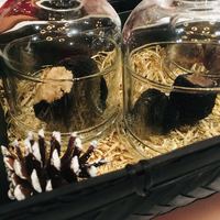 Terres de Truffes, Tokyo - 