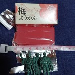 Asakawa - 梅羊羹81円