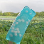 大島まんじゅう屋 - 城沼の古代蓮とくずバー