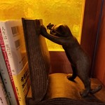 月灯りの書斎 - 