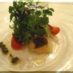 ＤＯＬＣＥＴＴＯ - ランチの前菜:ホタテとアメーラのバジルソース