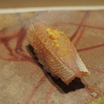 すし匠 - 春子　朧　握り