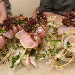 テッラ イタリアーナ - 