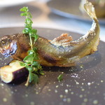 ビストロ セレニテ - 