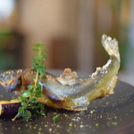 ビストロ セレニテ - 