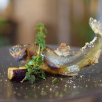 ビストロ セレニテ - 