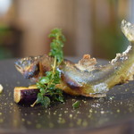 ビストロ セレニテ - 