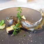 ビストロ セレニテ - 