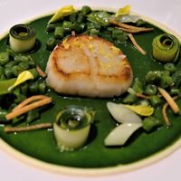 フィリップ・ミル 東京 - 北海道産ホタテのポワレ　高農園のズッキーニ　クレソンのソースと柑橘の香り