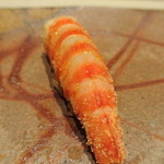 すし匠 - 車海老　朧　握り