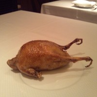 レストラン アラジン - 