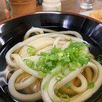 松乃家生麺 - ヒヤカケ