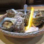 葵 - さざえつぼやき