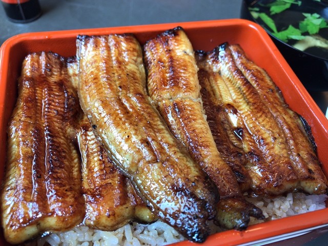 うなぎ鮒一 本店 目黒 うなぎ 食べログ