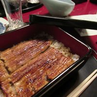 うなぎ割烹 大江戸 - 