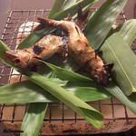 御料理 寺沢 - 天竜川の稚鮎焼