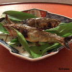 御料理 寺沢 - 天竜川の稚鮎焼