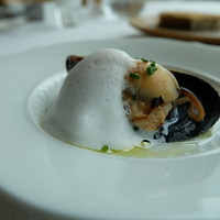 サーラ アマービレ - 