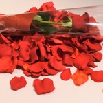 ラ メゾン ドゥ グラシアニ - 1輪の赤いバラとセッティングのバラの花びら