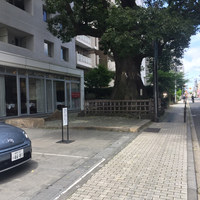 クリマ ディ トスカーナ - 