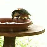 くつきそば 永昌庵 - 