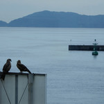 魚市場もったいない食堂 - 