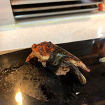 四季彩 鮨楽 - 鰻