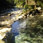 湯ヶ島温泉 湯本館 - 