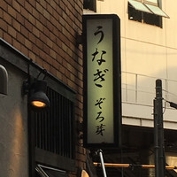 うなぎ 目白ぞろ芽 - 
