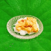 緒方 - 赤雲丹(熊本県天草産)の塩ご飯