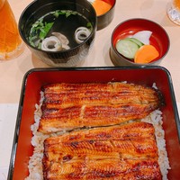 うなぎ割烹 白金台 まつ本 - 