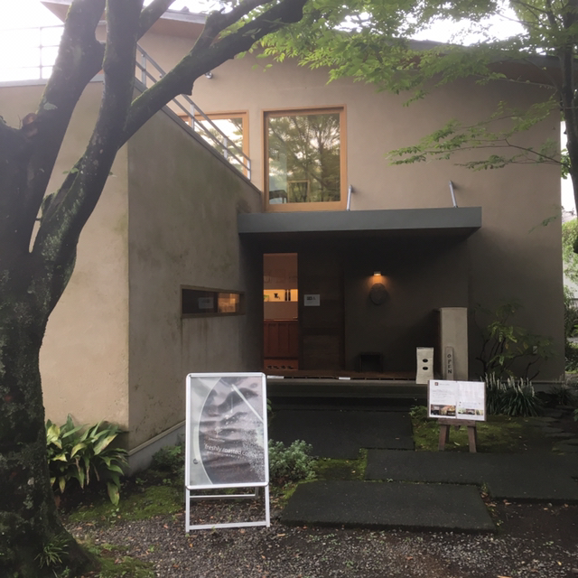 心に強く訴えるzelkova 意味 最高の花の画像 心に強く訴えるzelkova 意味 最高の花の画像
