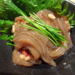 鮨げん家 - アオリイカ有馬山椒