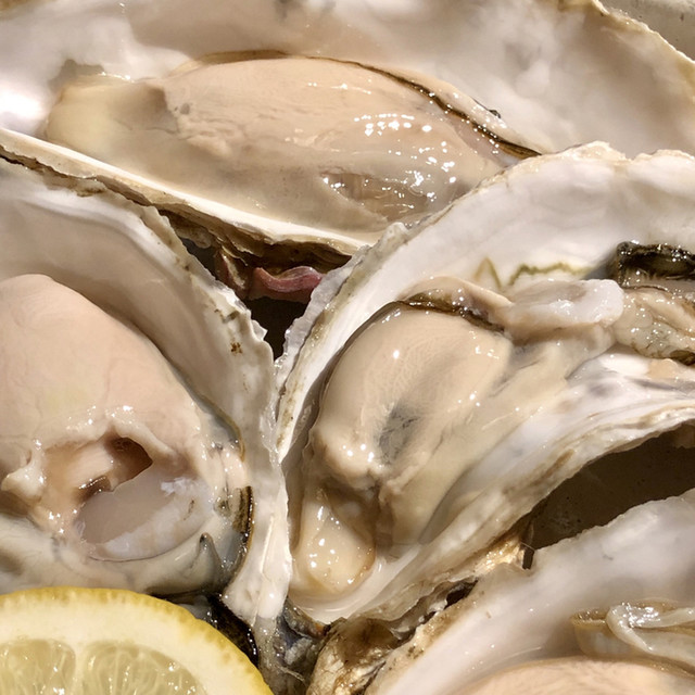 稚鬼稚鬼（ちきちき） - 釧路（居酒屋）の写真