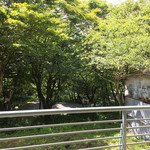 우스이산소우 - 窓からの眺めです。