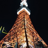 ワカヌイ グリル ダイニング バー 東京 - やはり美しい東京タワー