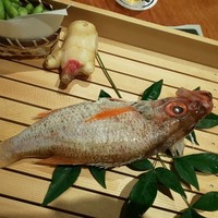 のどぐろ専門 銀座 中俣 - 