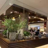 ロビーラウンジ 「マーブルラウンジ」 ヒルトン東京 - 