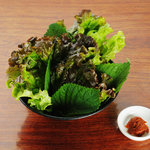 炭火焼ホルモン ぐう - 包み野菜