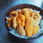 Kuidokoro Shakebanya - 雲丹丼（小）