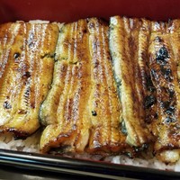 うなぎ割烹 大江戸 - 
