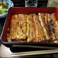 うなぎ割烹 大江戸 - 