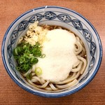 Nagara Udon - 受け取り口で
                        天かすを自分で入れる方式だったので
                        もっと入れればよかった
                        サックリサクサク美味しかった